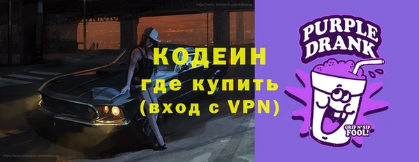 эйфоретик Арсеньев