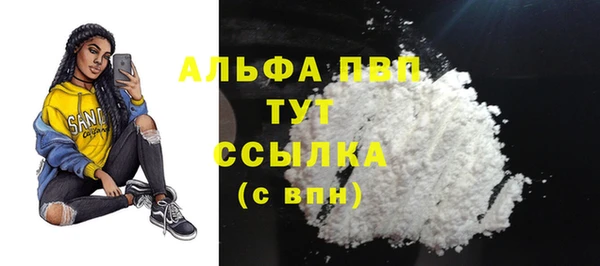 эйфоретик Арсеньев