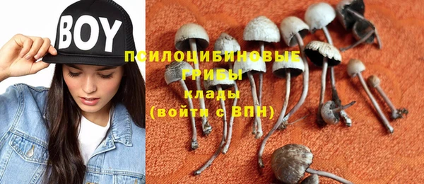 эйфоретик Арсеньев