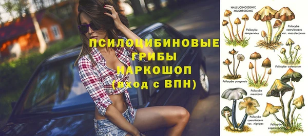 Альфа ПВП Армянск