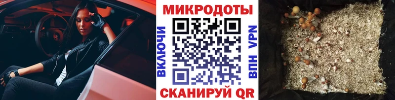 Псилоцибиновые грибы MAGIC MUSHROOMS  Пугачёв 